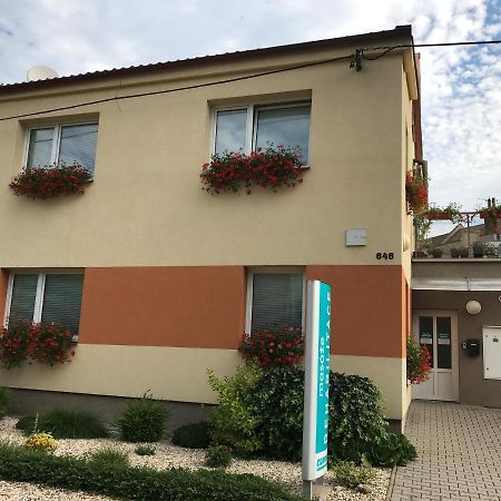 Apartment Corriger Ústí nad Orlicí Eksteriør billede