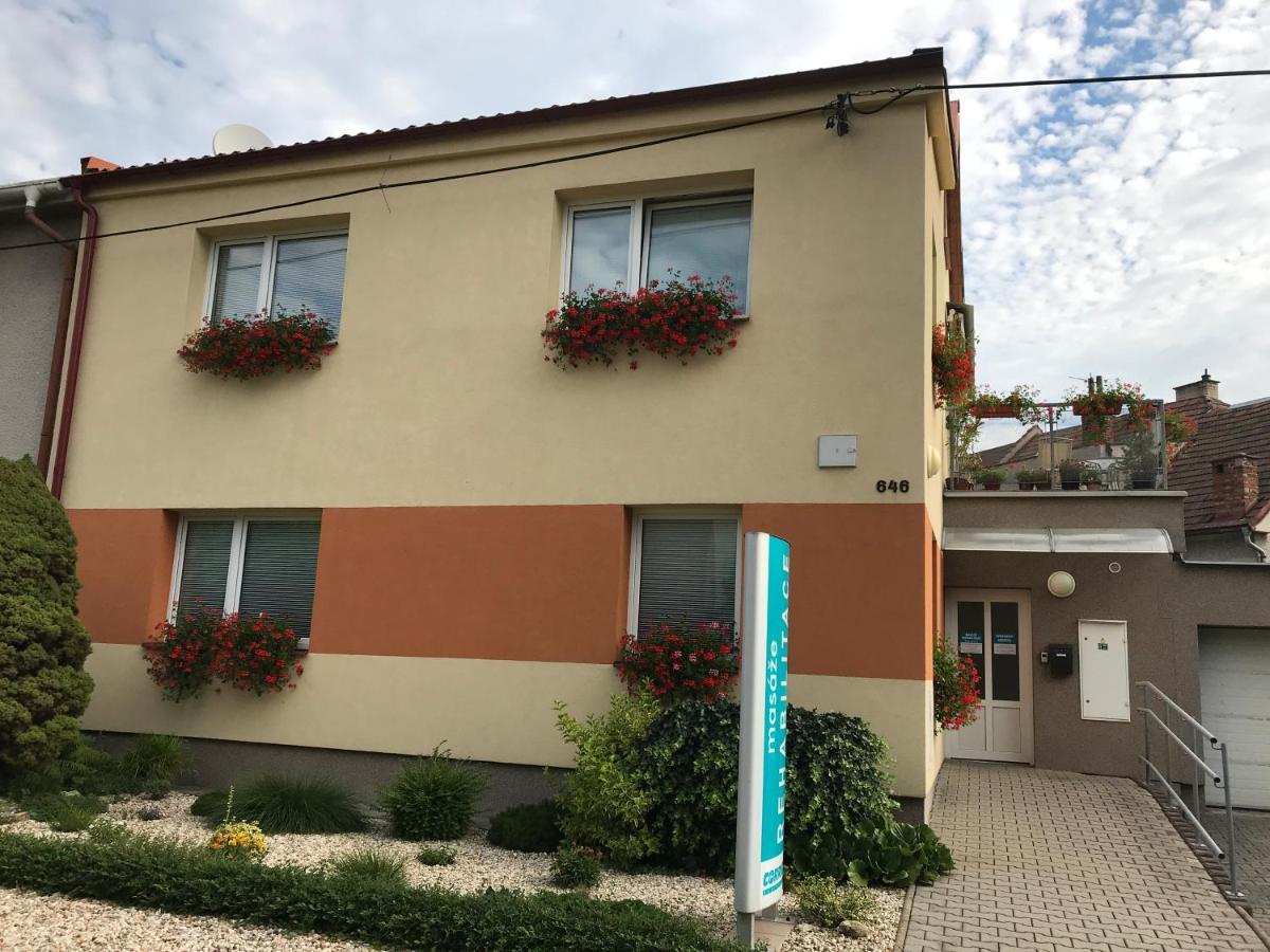Apartment Corriger Ústí nad Orlicí Eksteriør billede