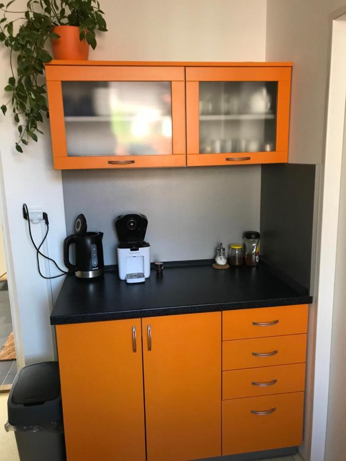 Apartment Corriger Ústí nad Orlicí Eksteriør billede